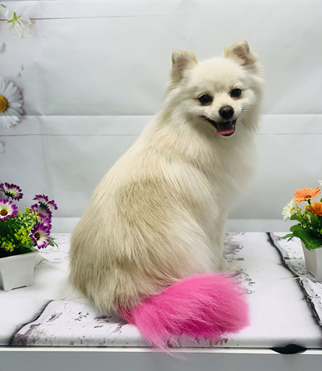 Бьюти-груминг