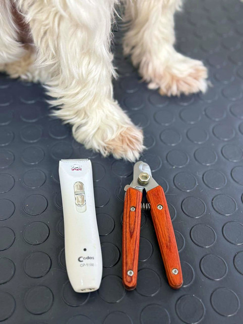 Машинка для стрижки собак и когтерезка