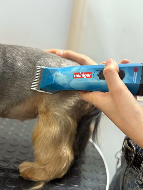 Машинка для бритья кошек