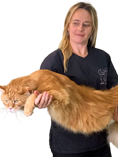 Мастер по стрижке собак и кошек Смоленск